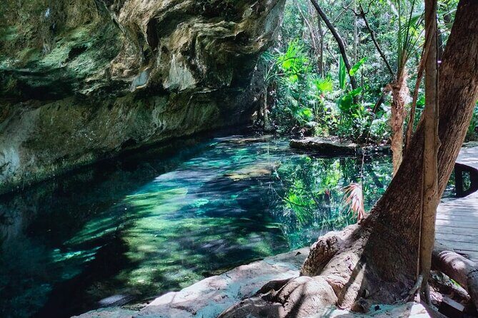Private 4Cenote Experience, swim in the heart of the Mayan Jungle - Swimming in Four Cenotes: More Water Time, Better Flow