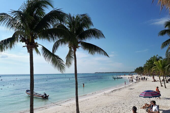 Private Akumal & Cenotes tour - Price and logistics: what $242 gets you (and what costs extra)