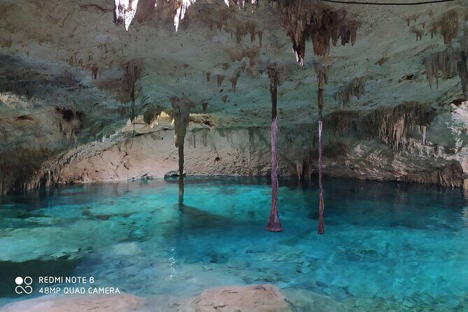 Private Akumal & Cenotes tour - Timing, pacing, and how the day likely feels