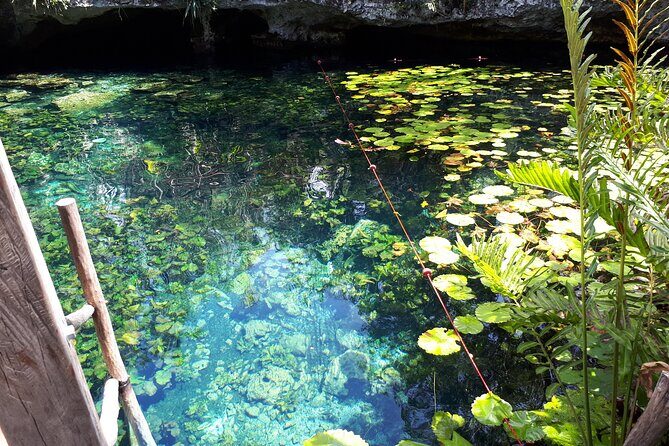 Private Akumal & Cenotes tour - Weather and comfort: the one variable you can’t ignore