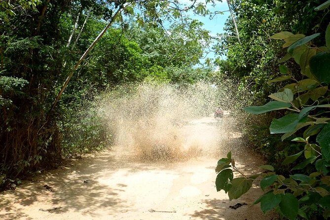 Private ATV Jungle Explorer Tour - A possible cenote swim stop: how it can change the day