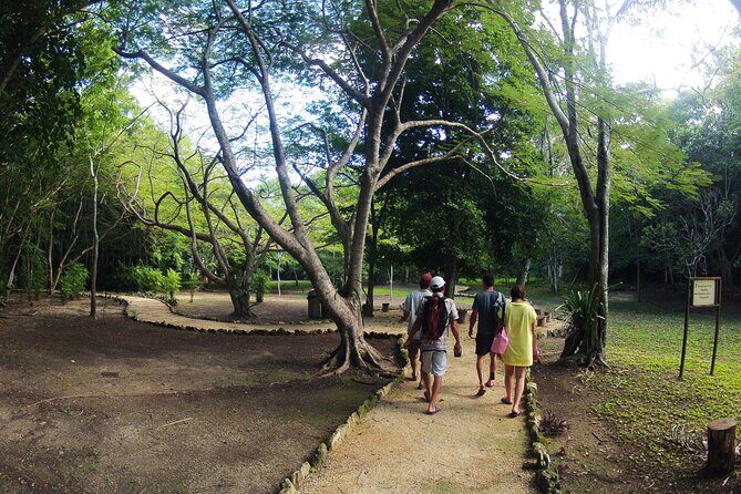 Private Birdwatching Tour in Sian Ka'an Muyil - The Muyil Village Walk: birds plus everyday Mayan life