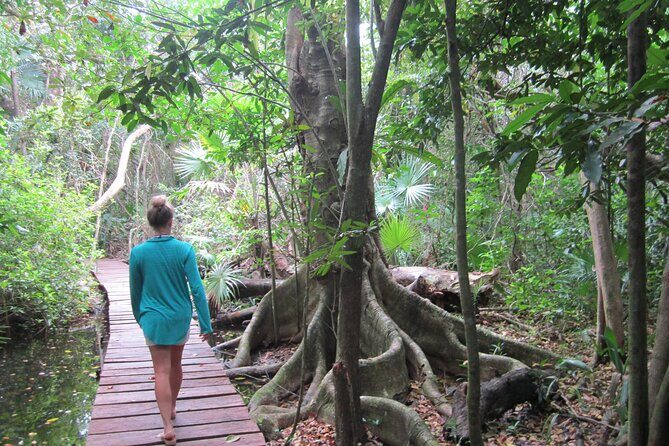 Private Birdwatching Tour in Sian Ka'an Muyil - Price and value for a private tour at $218