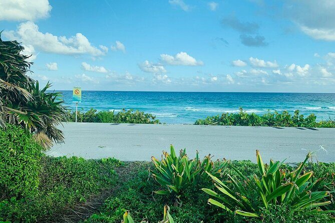 Private Buggy Tour in Cozumel, Snorkel & Lunch: All Inclusive - Stop 2: Playa Chen Rio natural pool reset