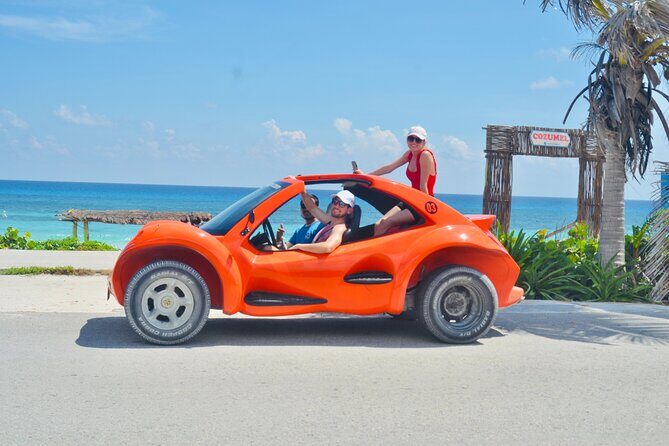 Private Buggy Tour in Cozumel, Snorkel & Lunch: All Inclusive - Stop 5: Skyreef Beach Club snorkeling from shore with a certified guide
