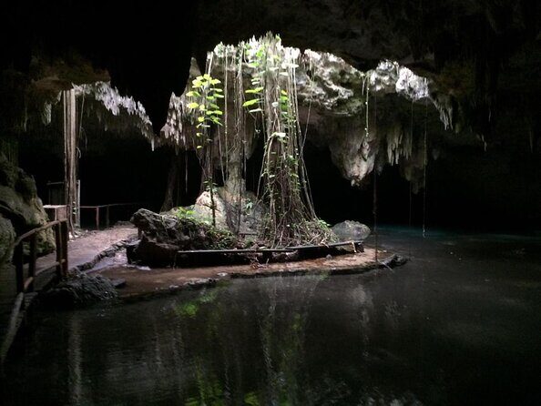 Private Cenote & Cave – Playa del Carmen, Mayan Culture & Fossils - Key things to know before you go