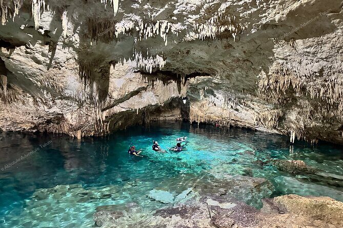 Private Cenote Snorkeling Tour – Tulum’s Hidden Gems - Who This Tour Is Best For (And Who Should Skip It)