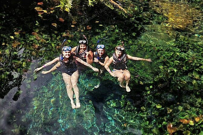 Private Cenote Snorkeling Tour – Tulum’s Hidden Gems - Price and Value: Why It Costs What It Costs
