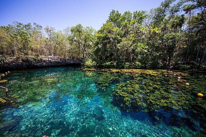 Private Coba & Jungle Adventure: Zipline, Rappel & Cenote - Snorkeling in the cenote with included gear
