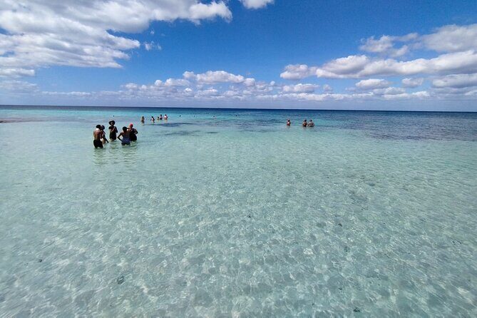 Private Cozumel Island Tour – Perfect Cruise Shore Excursion - Stop 5: El Mirador and the petrified coral viewpoint for aerial-style photos (15 minutes, free entry)