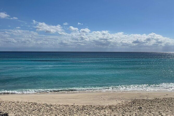 Private Cozumel Island Tour – Perfect Cruise Shore Excursion - Pickup, mobile ticket, and how to keep the day smooth