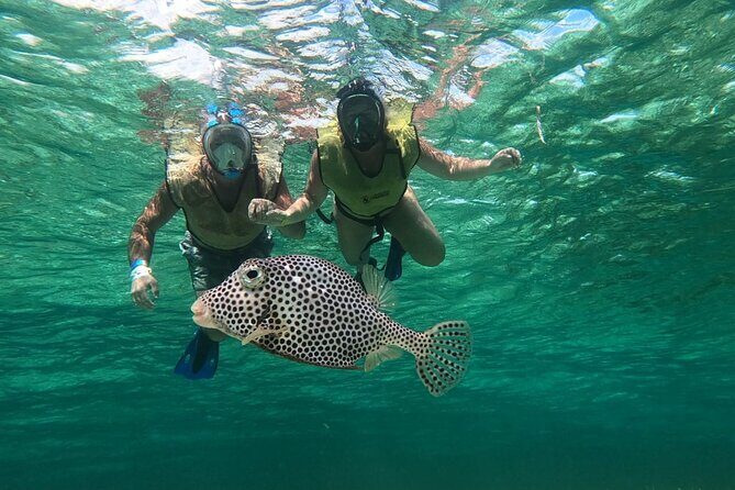 Private Cozumel Jeep and Jade Cavern Cenote Tour - Playa Chen Rio: A Natural Pool Break