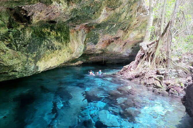 Private experience 5 cenotes at Riviera Maya - Private 5-Cenote Tour Near Playa del Carmen