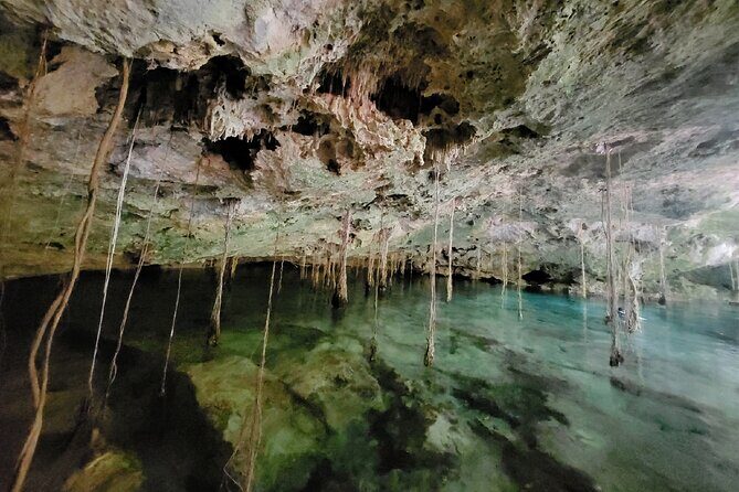 Private experience 5 cenotes at Riviera Maya - Snorkeling Gear, Safety, and Underwater Photo Extras