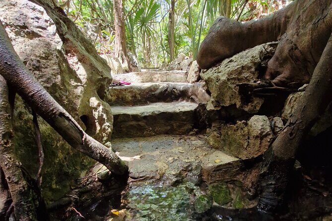 Private experience 5 cenotes at Riviera Maya - Who This Tour Fits Best (And Who Might Want a Different Style)