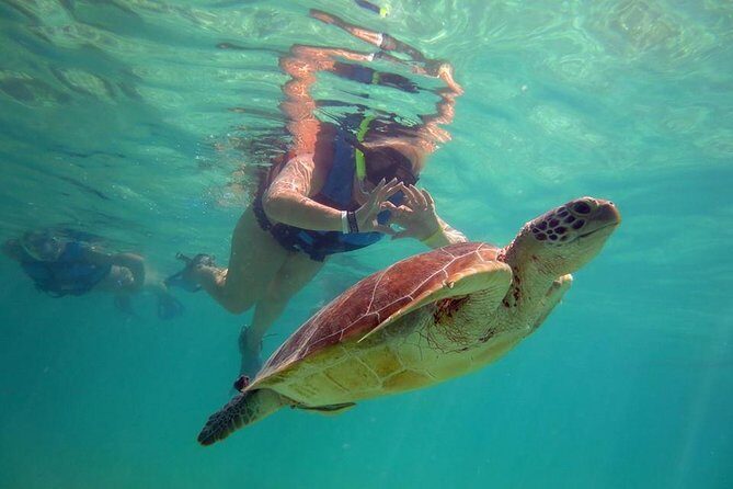 Private Experience: Akumal sea turtles encounter and Yal-kú lagoon colorfull fish snorkel. - Private tour logistics: pickup, timing, and staying in control