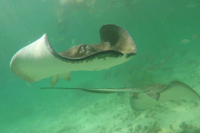 Private Fishing Tour in Yacht Playa del Carmen - Scheduling and meeting: start time matters