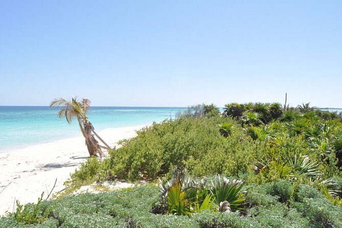 Private Full-Day Guided Tulum Coba and Cenote Tour with Lunch - How this private Tulum + Coba route saves you a full day