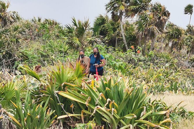 Private Full-Day Guided Tulum Coba and Cenote Tour with Lunch - What the lunch adds (and how to make it work for you)