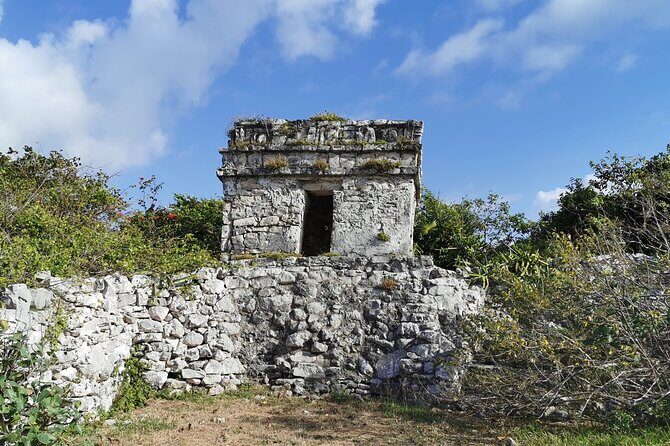 Private Full-Day Guided Tulum Coba and Cenote Tour with Lunch - Coba’s rainforest walk: where the birds steal the show