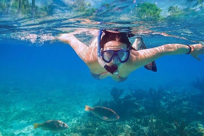Private Half Day Tour in Cenote Cave and Swimming with Turtles - Stop 2: Akumal Beach sea turtle snorkeling (and the rules that protect them)