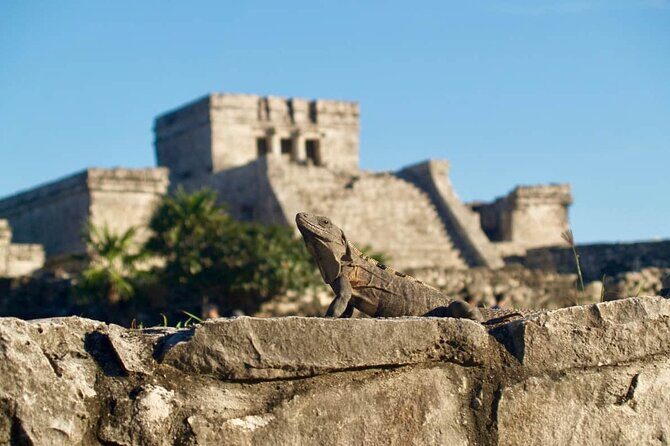 Private Half Day Tour to Tulum Temples and Downtown Shopping - Price and value: what $267 buys you (and what doesn’t)