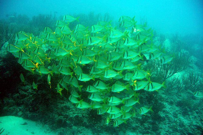 Private Isla Mujeres Adventure & Free Time - Northern Beach free time: A beach break that doesn’t feel rushed