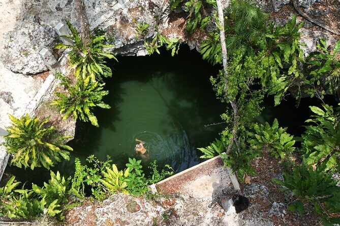 Private Jeep Cenotes Expedition in Cozumel – Swim & Mayan Park - Key highlights worth getting excited about
