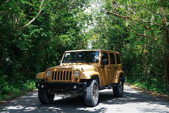 Private Jeep Cenotes Expedition in Cozumel – Swim & Mayan Park - A private Jeep day built around water and culture