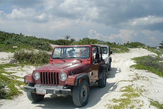 Private Jeep Experience Snorkel Tour, Cenote & Punta Sur Eco Park - The Cozumel Beach Club Snorkel Hour: Simple Gear, Lively Reef