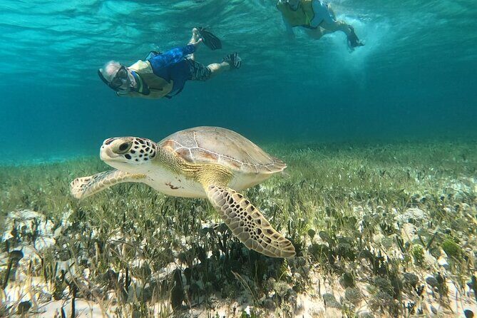 Private Jeep Tour & ATV to Jade Cavern Cenote: All Inclusive - A 4-hour south-side sampler: what you’re really buying