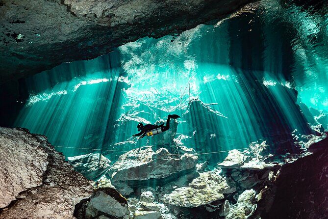 Private Scuba Diving in Cenote around Playa del Carmen - Key highlights you’ll feel on the day
