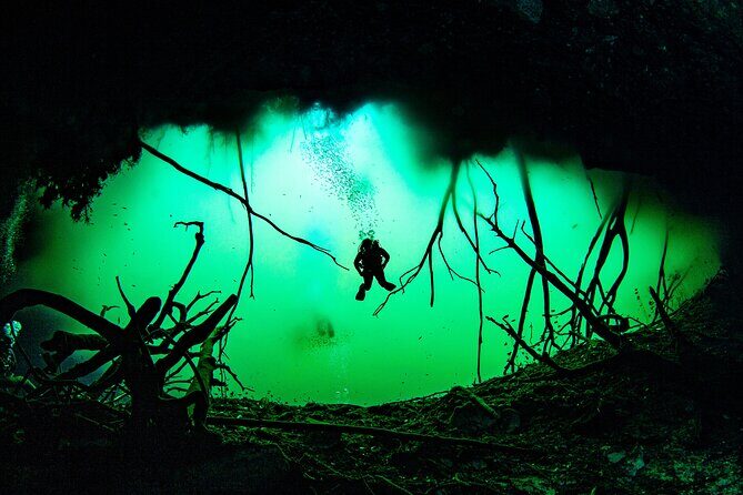 Private Scuba Diving in Cenote around Playa del Carmen - Your scuba day schedule: two underwater sessions, about 45 minutes each