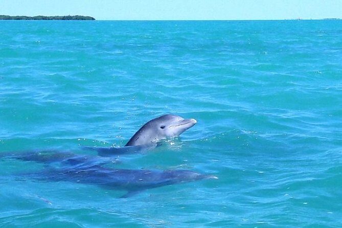 Private Sian Kaan Biosphere Tour - Sian Ka’an from Playa del Carmen: why this day feels different