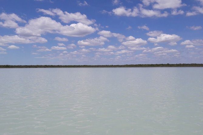 Private Sian Kaan Biosphere Tour - The Punta Allen boat ride: where dolphins and turtles have a chance