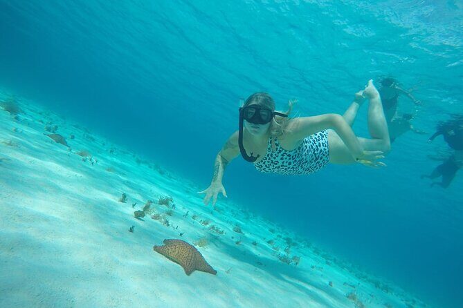 Private Sky Snorkeling Tour - A 4.5-Hour Plan That Hits the Best Spots Without Dragging