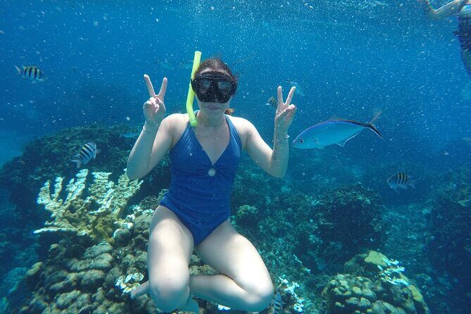 Private Sky Snorkeling Tour - Getting There: Caleta Antigua and the Simple Meeting Setup