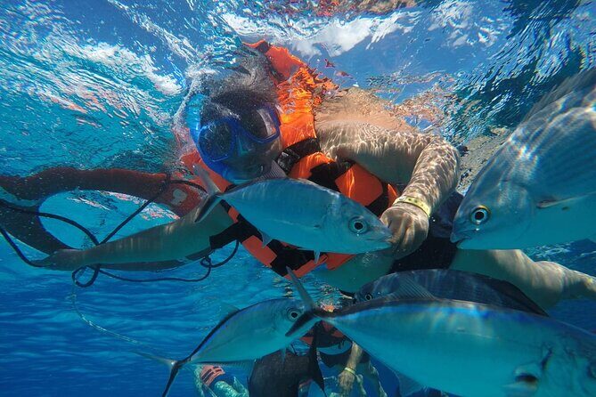 Private Sky Snorkeling Tour - Stop 1: Palancar Reef for Big Coral Views in a Short Session