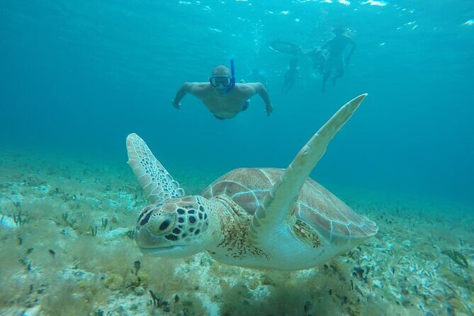 Private Sky Snorkeling Tour - Stop 2: Columbia Reef and the Fish-and-Coral Mix