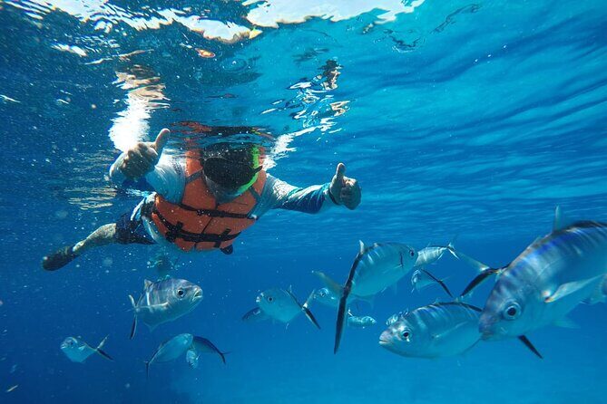 Private Sky Snorkeling Tour - What You’ll See Underwater (And What People Get Most Excited About)