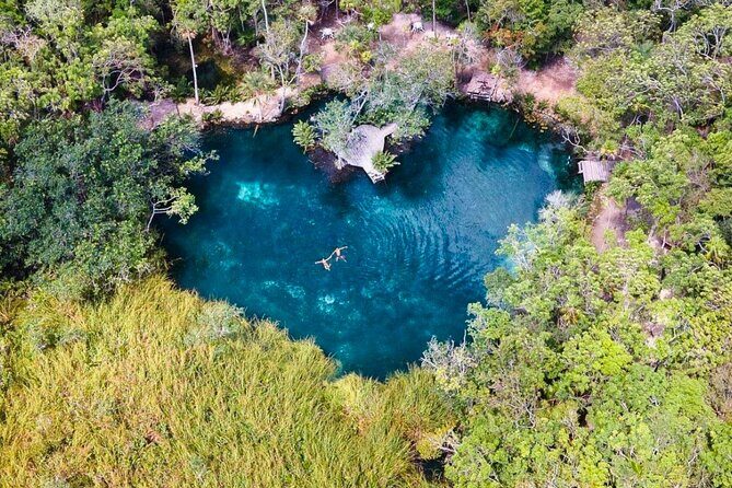 Private Snorkeling Tour Kaan Luum Lagoon Cenote Lunch - What you’re really paying for: $208.50 per person