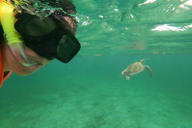 Private Tour: Akumal Marine Turtle Snorkeling and Cenote Adventure - Why Akumal Bay and Cenote Azul make a great combo