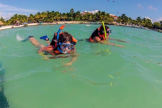 Private Tour: Akumal Marine Turtle Snorkeling and Cenote Adventure - Stop 2: Cenote Azul jungle swim in a natural pool (one hour)