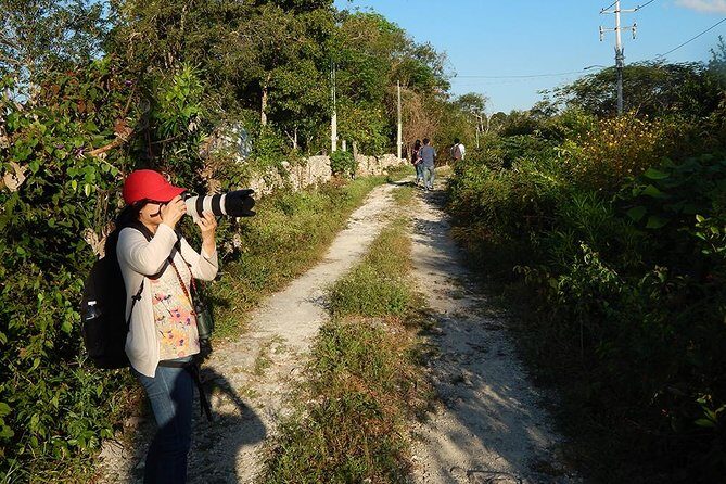 Private Tour: Birdwatching Playa del Carmen - Price and value: $525 per group can make sense