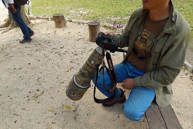 Private Tour: Birdwatching Playa del Carmen - Booking timing and what “confirmation” means for you