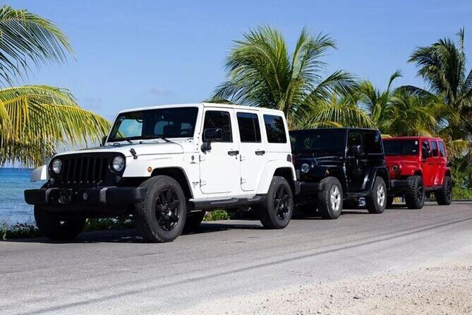 Private Tour Cozumel your way Jeep 4x4 up to 4 People - Key things that make this Cozumel Jeep tour work