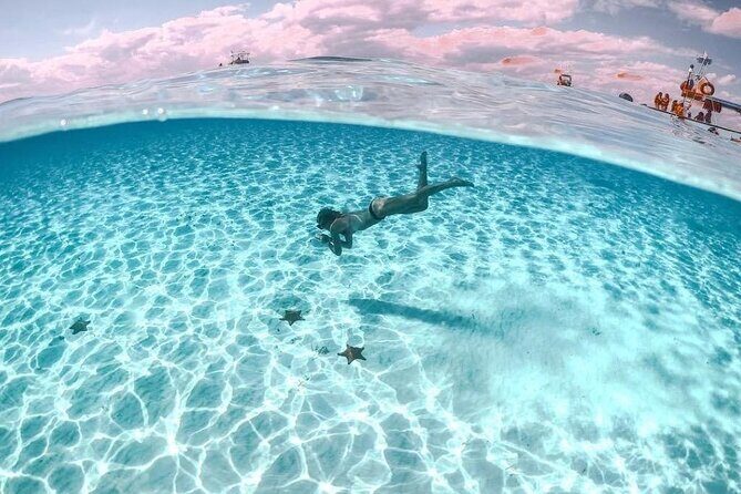 Private Tour in Cozumel El Cielo Sandbar and Reef Snorkeling - Your 5-hour plan: reefs first, starfish bay second