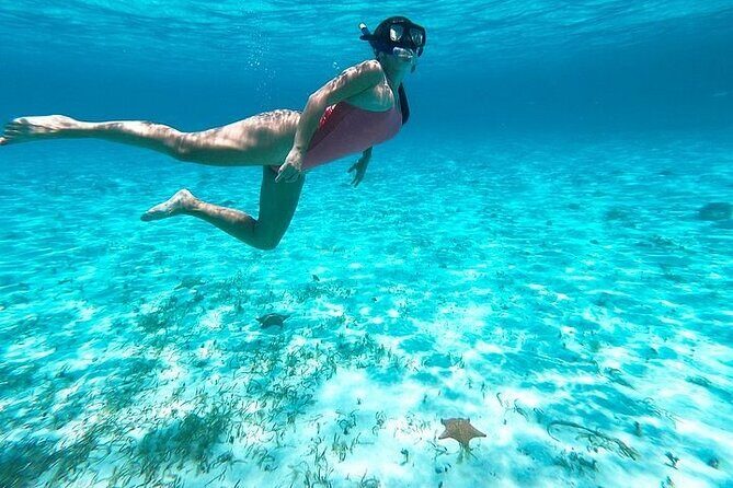 Private Tour in Cozumel El Cielo Sandbar and Reef Snorkeling - Playa El Cielo / Starfish Bay: knee-deep snorkeling and starfish viewing