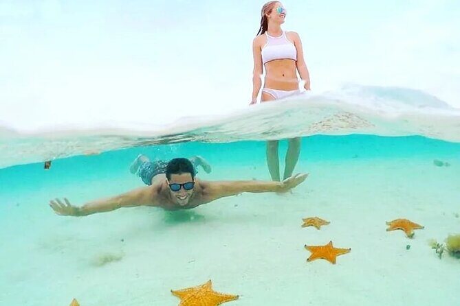 Private Tour in Cozumel El Cielo Sandbar and Reef Snorkeling - The included food and drinks: picnic on the beach after snorkeling