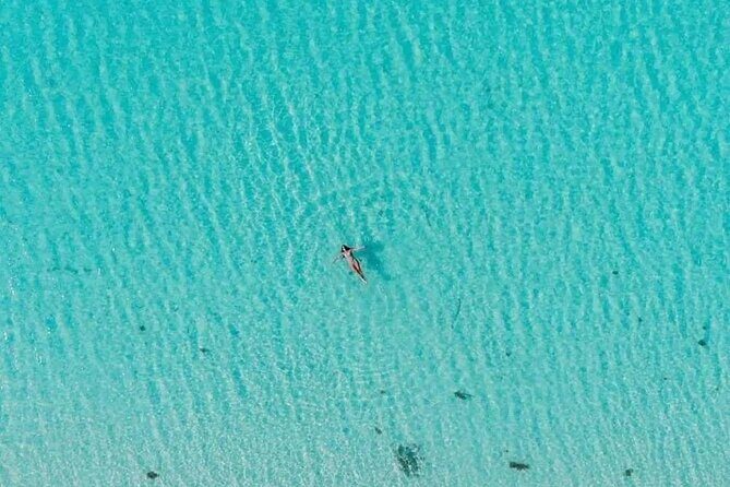 Private Tour in Cozumel El Cielo Sandbar and Reef Snorkeling - Logistics that can make or break the day (especially with cruises)